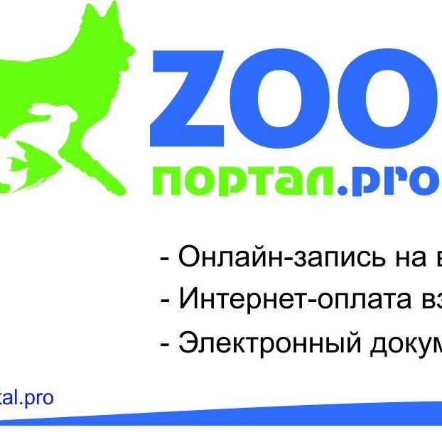 Собака дрожит и прячется: причины, почему дрожь