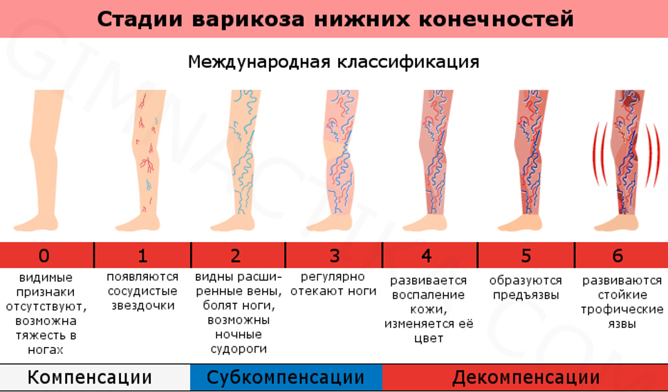 Кожные заболевания у собак: виды с фото, симптомы, лечение