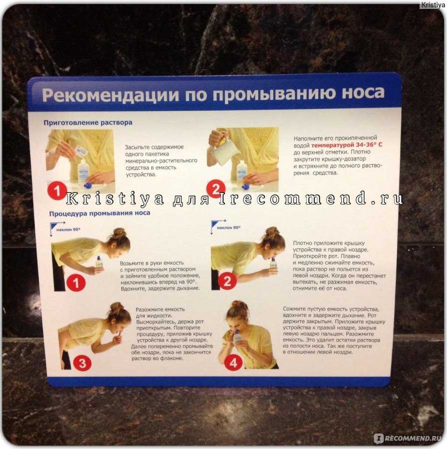 Как промыть нос кошке: от соплей и других нежелательных выделений, физраствором или хлоргексидином, можно ли вообще чистить самостоятельно