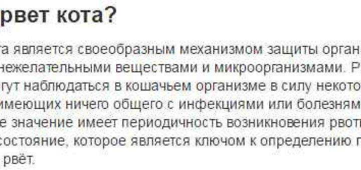 6 причин почему кошка рвет каждый день - что делать и как лечить