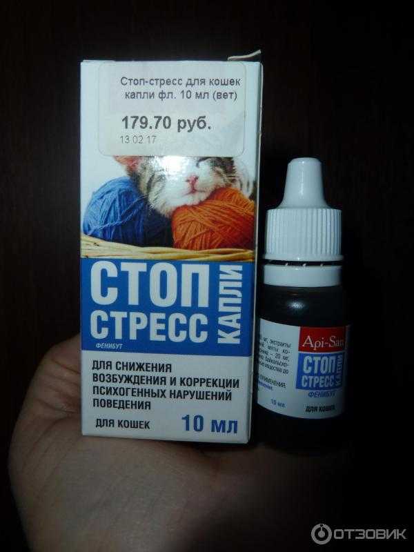 Стоп-стресс для кошек — капли и таблетки
