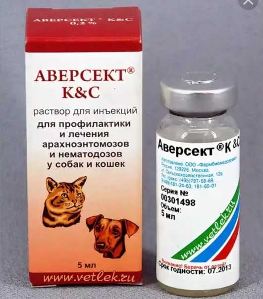 Чем лечить чесотку у собак, какие бывают виды чесотки