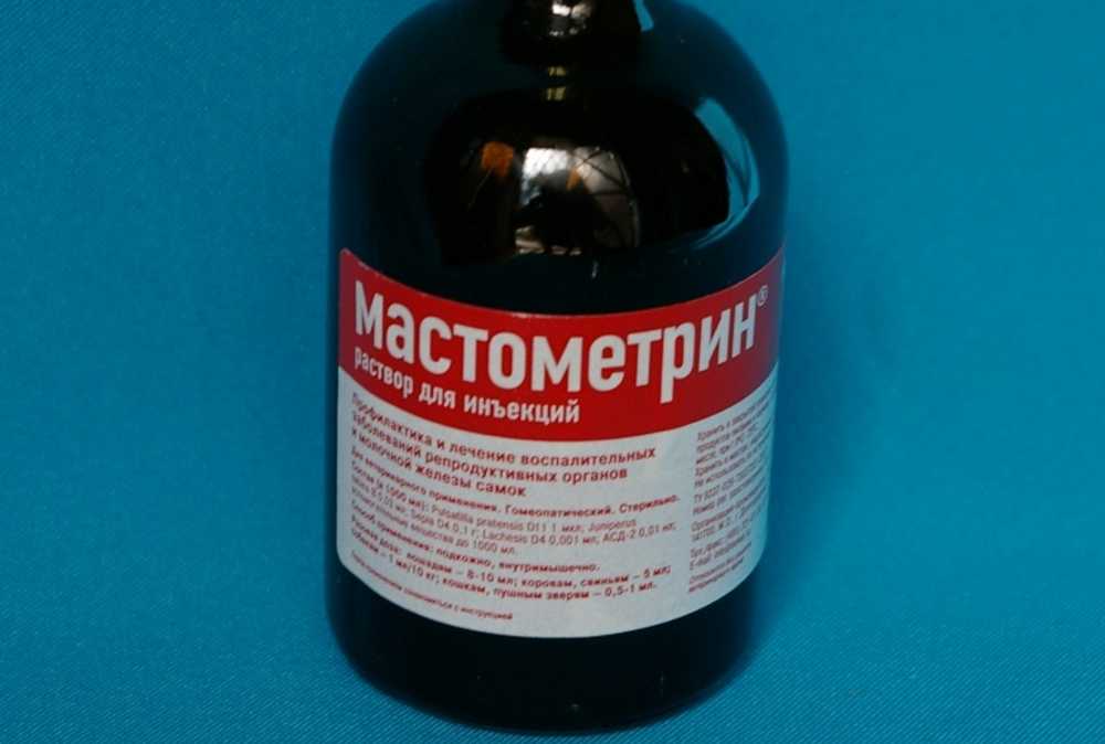 Плюсы мастометрина в ветеринарии для собак