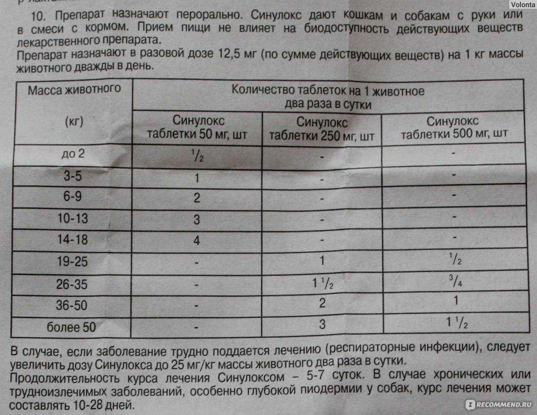 Ивермек для кошек: инструкция по применению препарата на основе ивермектина в ветеринарии, отзывы