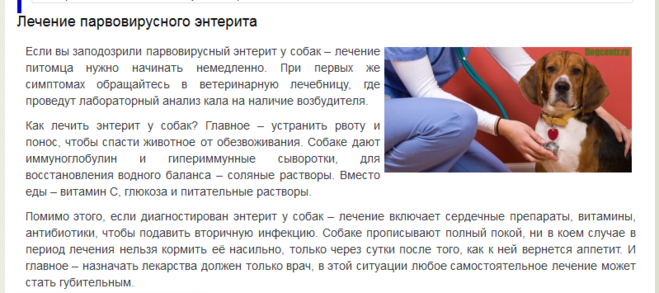 Кошку рвёт желчью лечение