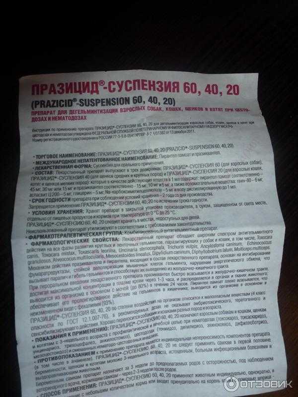 Празицид-суспензия плюс для щенков мелких, средних и крупных пород: инструкция по применению с отзывами