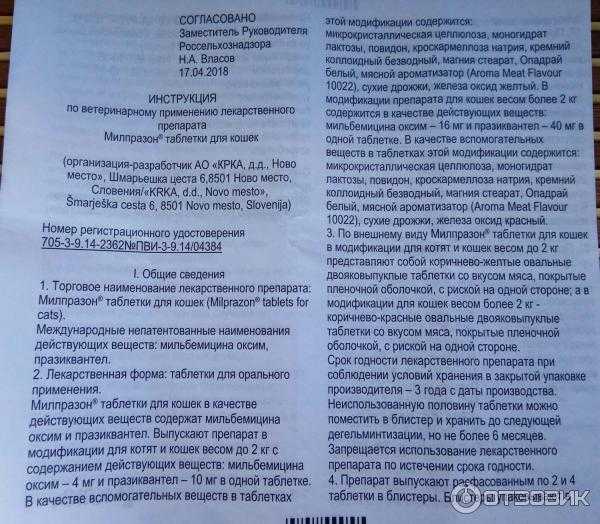 Лучшие средства от глистов для собак