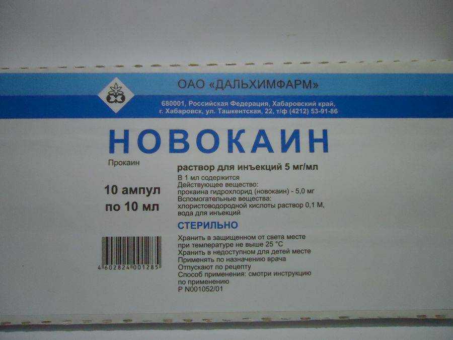 Продолжительность жизни кошек
