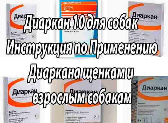 Диаркан для кошек и собак инструкция по применению лекарства диаркана в ветеринарии дозировка отзывы