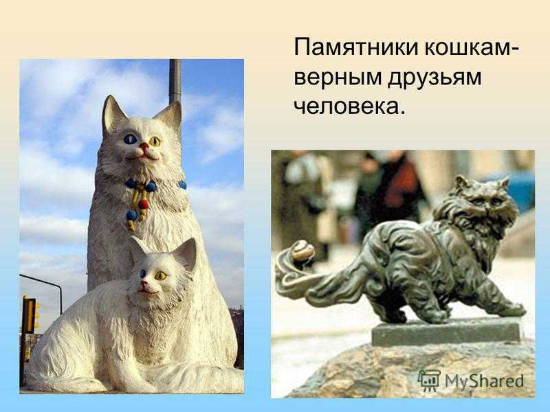 Памятники котам. короли улиц (часть1, россия) — обсуждение в группе "кошки" | птичка.ру