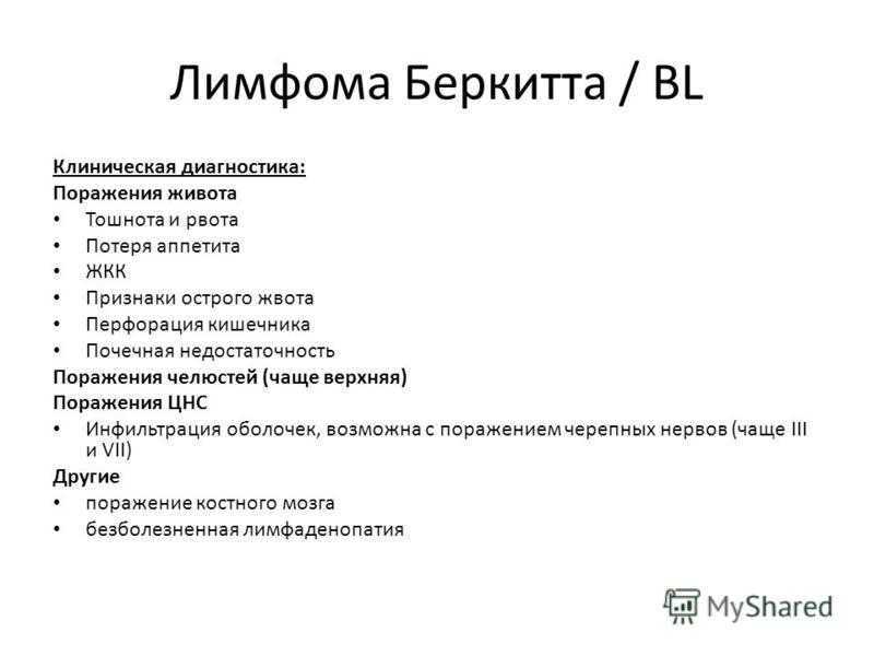 Где у собаки находятся лимфоузлы: расположение, заболевания лимфотической системы