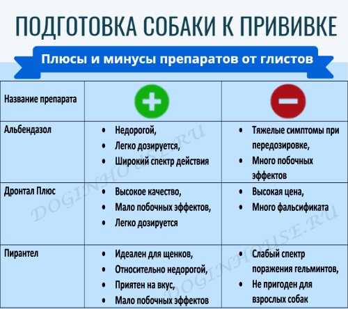 Дегельминтизация собак