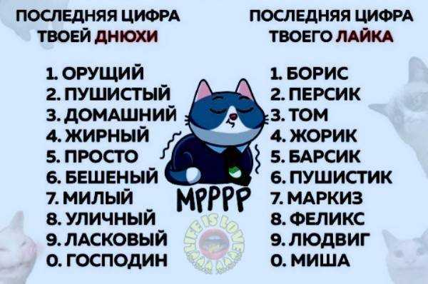 Японские имена для котят со значением
