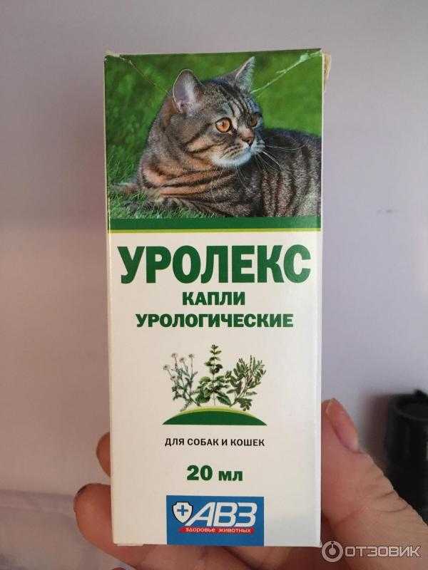 Уролекс для кошек: инструкция по применению, аналоги, отзывы