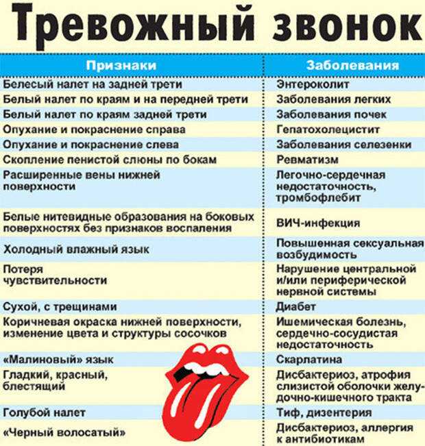 Почему у котенка синяя пасть — о животных на чистоту