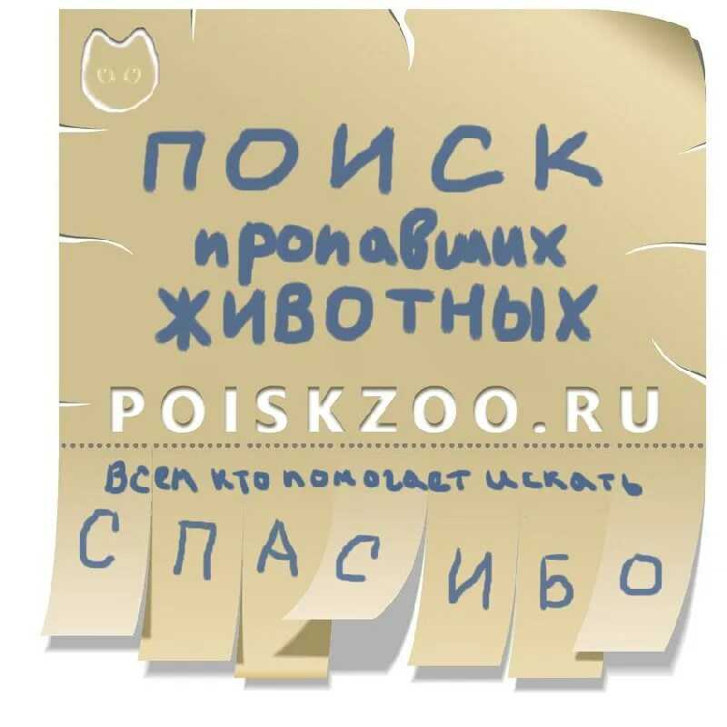 Что делать если у кота опухла лапа? | причины и лечение