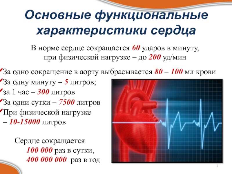 Приступ острой сердечной недостаточности у кошки