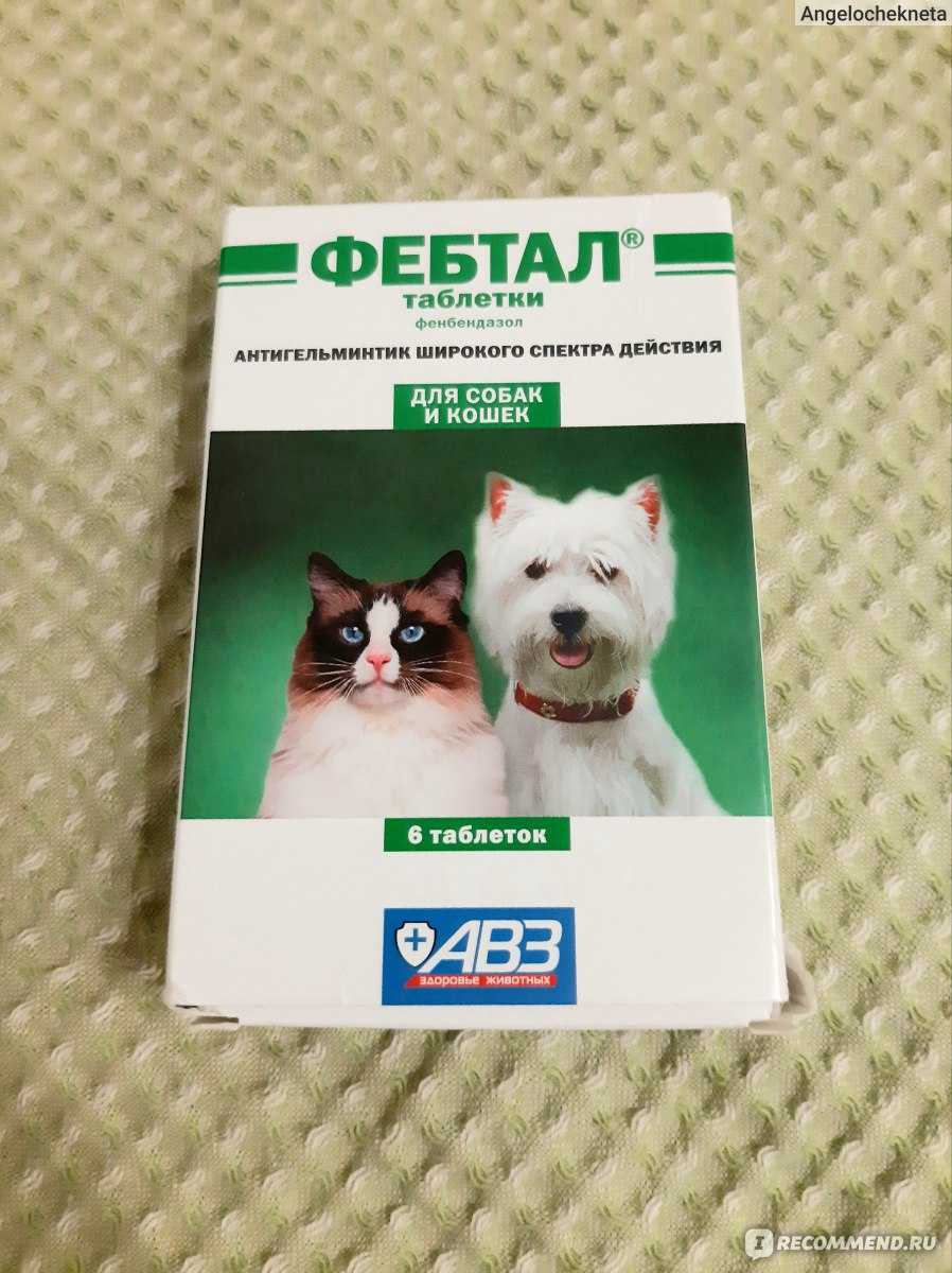 Фебтал для собак: описание, инструкция, отзывы