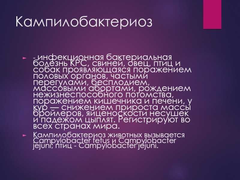 Болезни пищеварительной системы собак и кошек