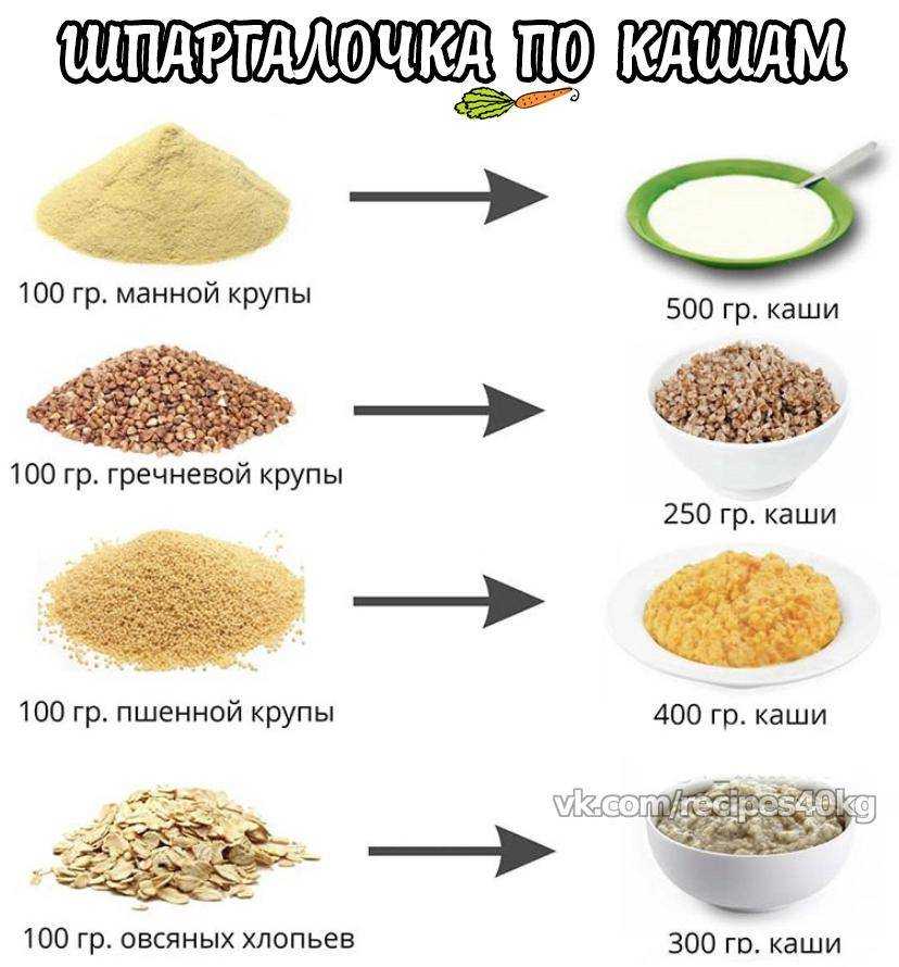 Можно ли кормить кошку пшеничной кашей