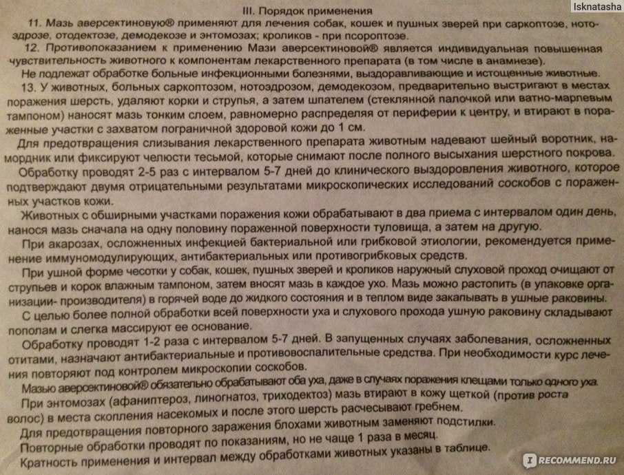 Мазь аверсектиновая для кошек: инструкция по применению в ветеринарии