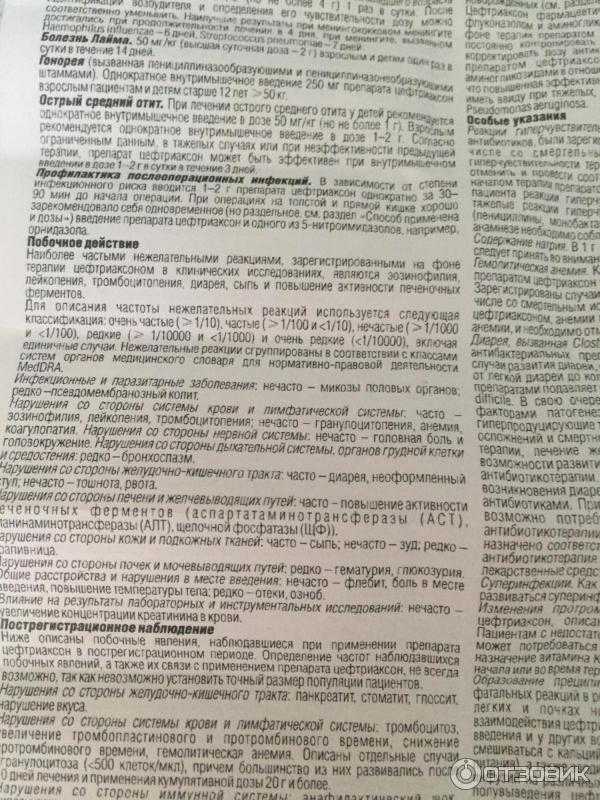 Цефотаксим побочные действия у собак