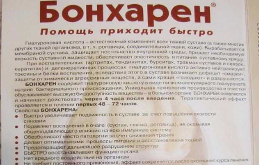 Всё, что вам необходимо знать про бонхарен для собак!
