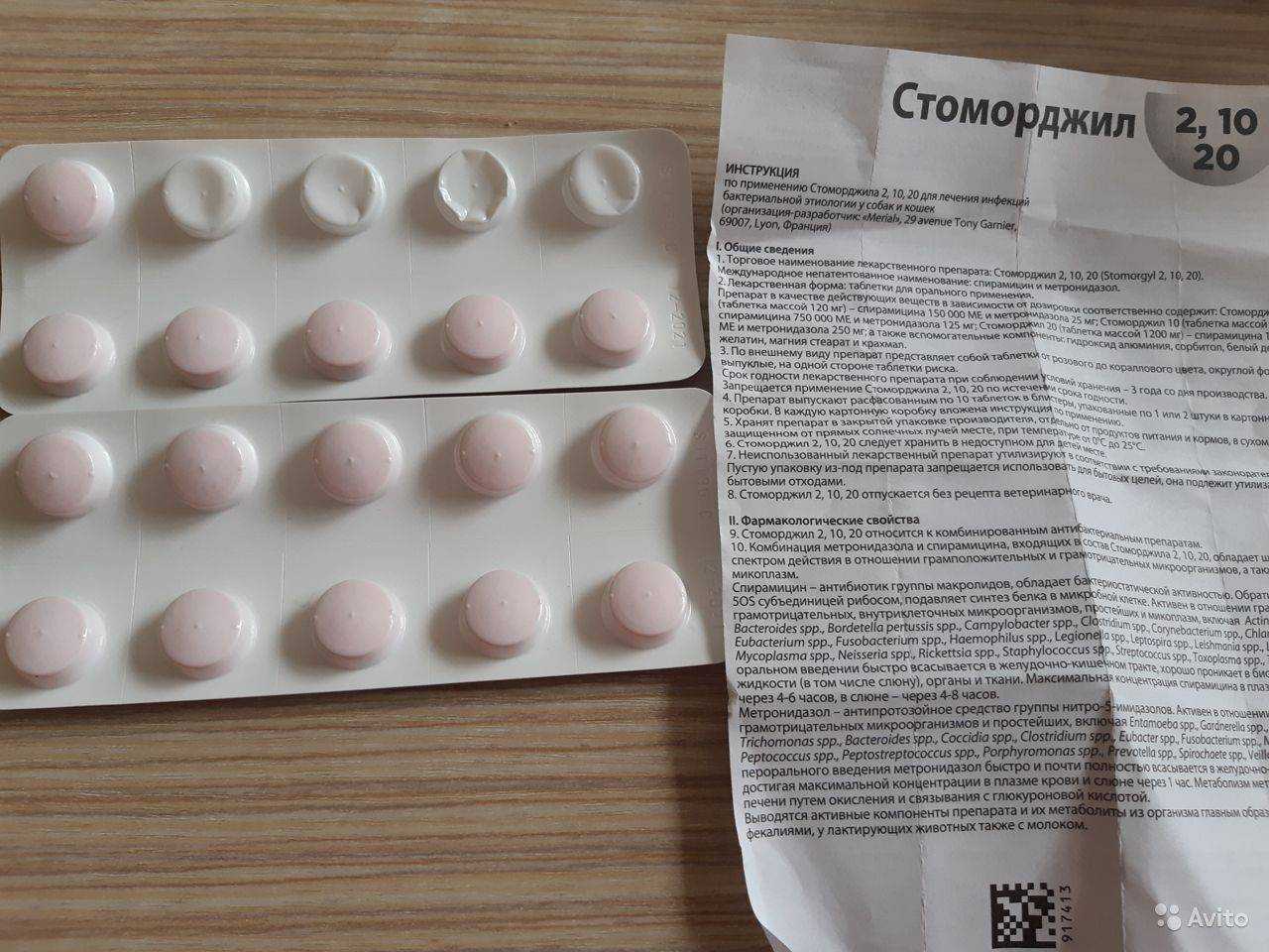 Стоморджил для собак: инструкция по применению, отзывы, ограничения