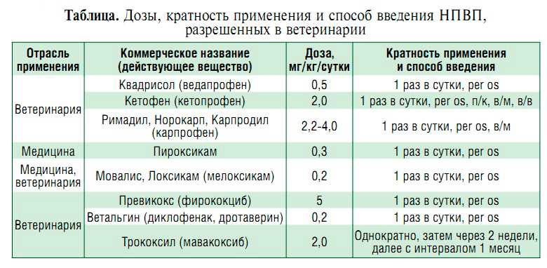 Баралгин для кошек: характеристика препарата и его применение