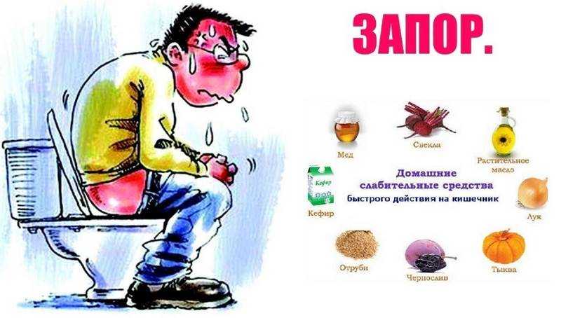 Запор у собаки