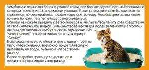 Почему кошку рвет по утрам?