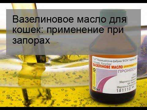 Как дать коту вазелиновое масло правильно?
