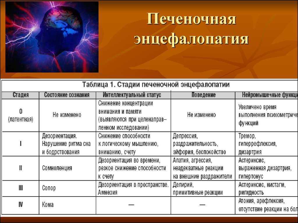 Гепатоз у собак