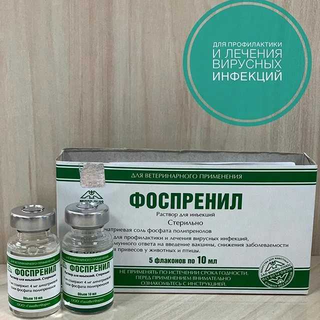 Фоспренил: инструкция по применению для собак и дозировка для щенков