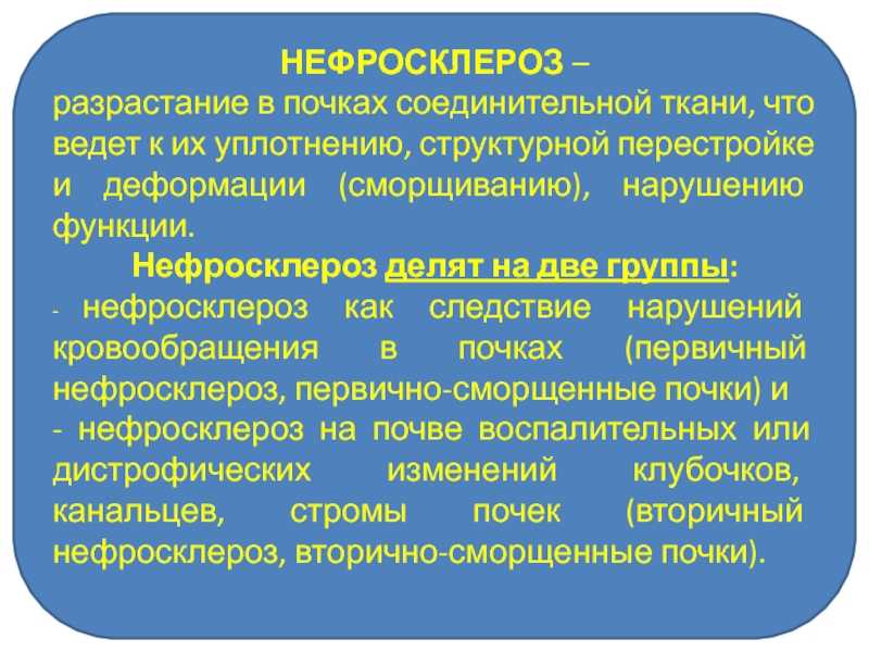 Есть ли шансы у кошки с нефросклерозом. симптомы и лечение болезней почек у кошек. причины патологических процессов