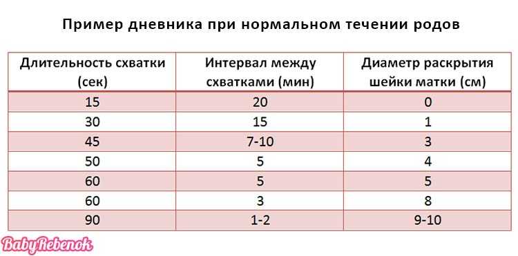 Как рожают кошки: как понять, что процесс начался, как помочь питомцу и принять роды в домашних условиях