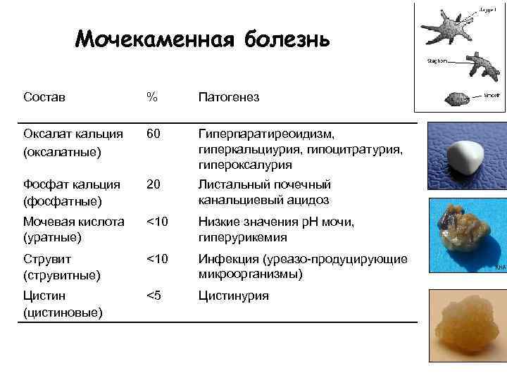 Цистит у кошек