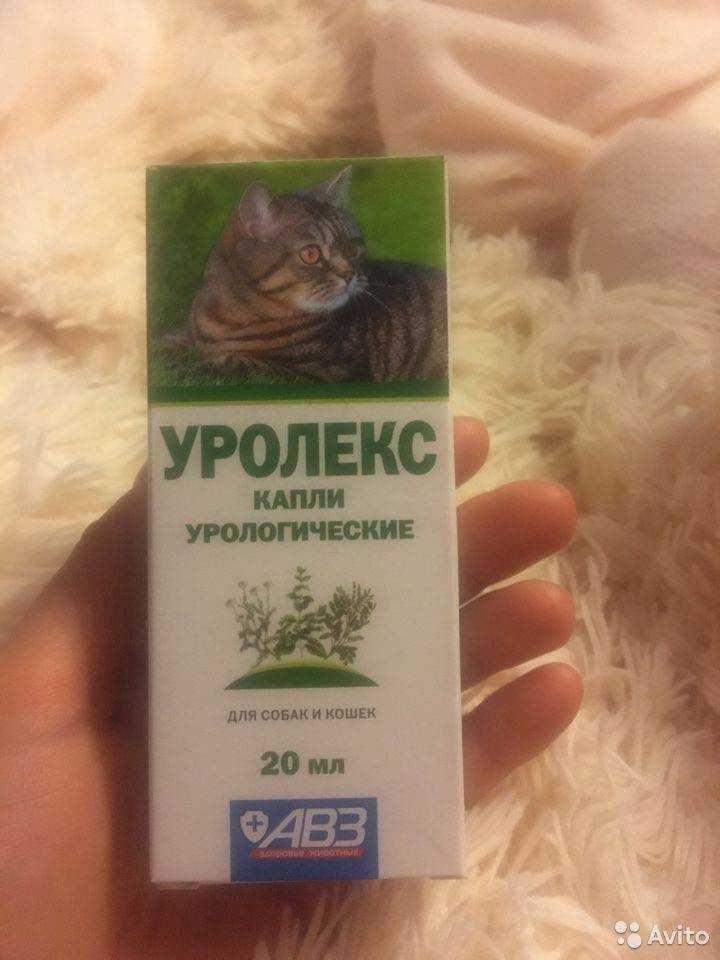 Уролекс для собак: инструкция по применению, состав и схема лечения
