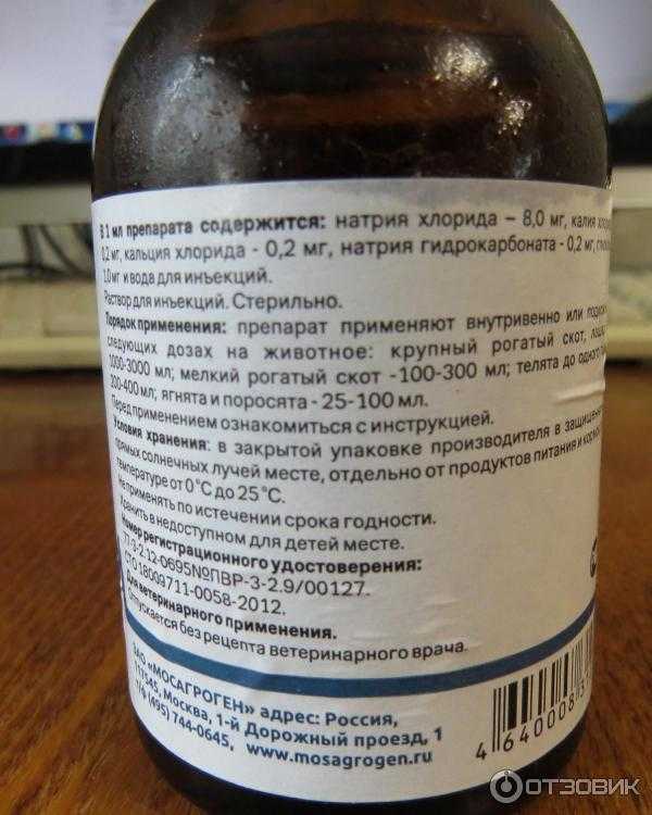 Инструкция по применению и показания для использования раствора рингера-локка для лечения кошек: как вводить средство?