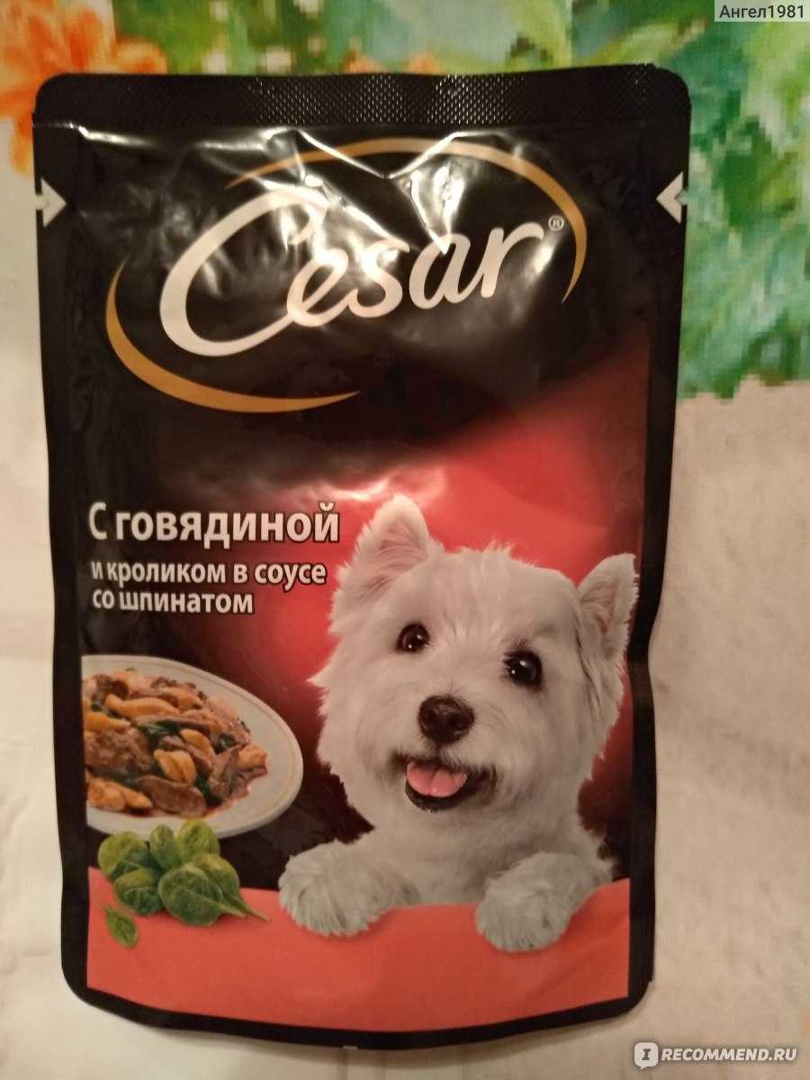 Корм для собак «цезарь»: состав, отзывы. корм супер-премиум класса для собак
