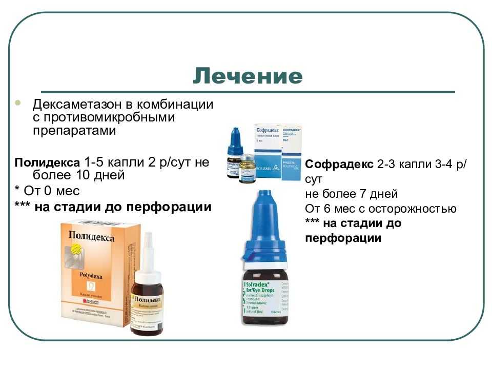 Лечение отита у собак