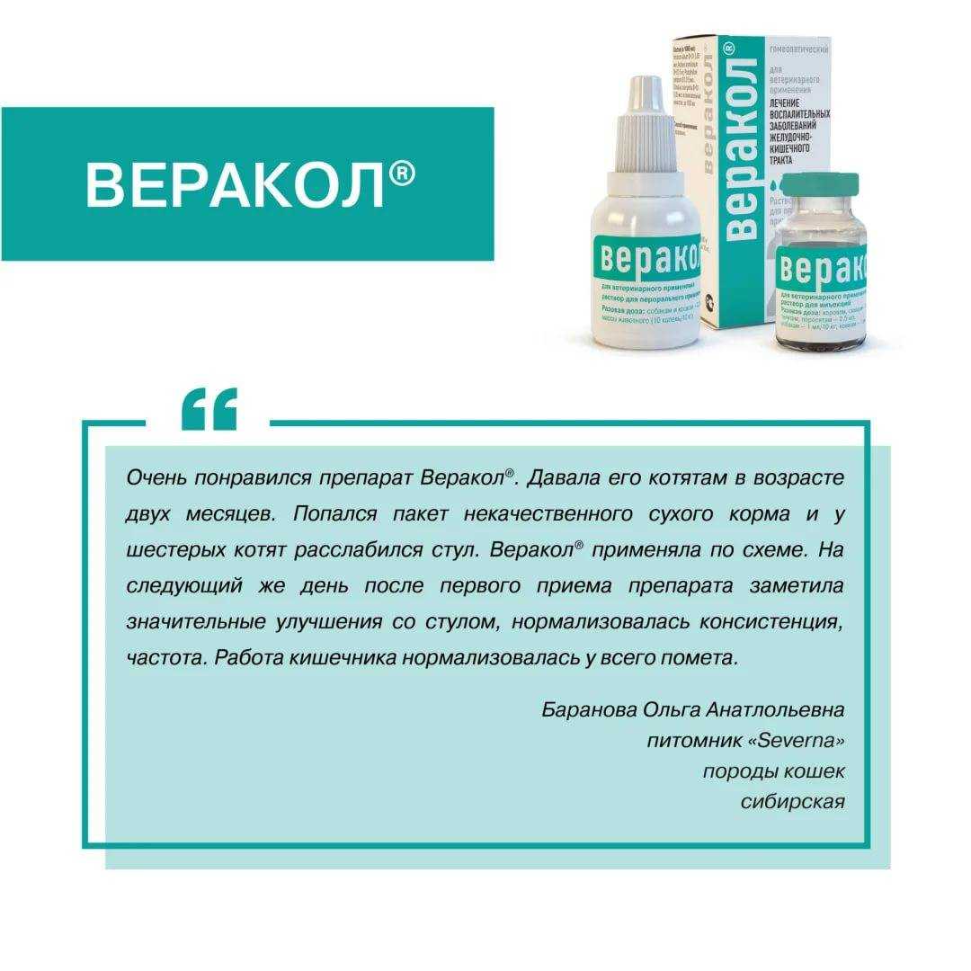 Веракол для кошек, инструкция по применению: как использовать капли?