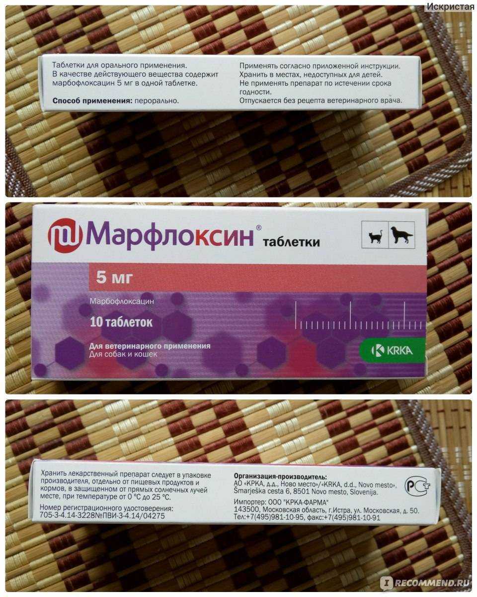 Марфлоксин для кошек: таблетки, инструкция по применению, дозировка