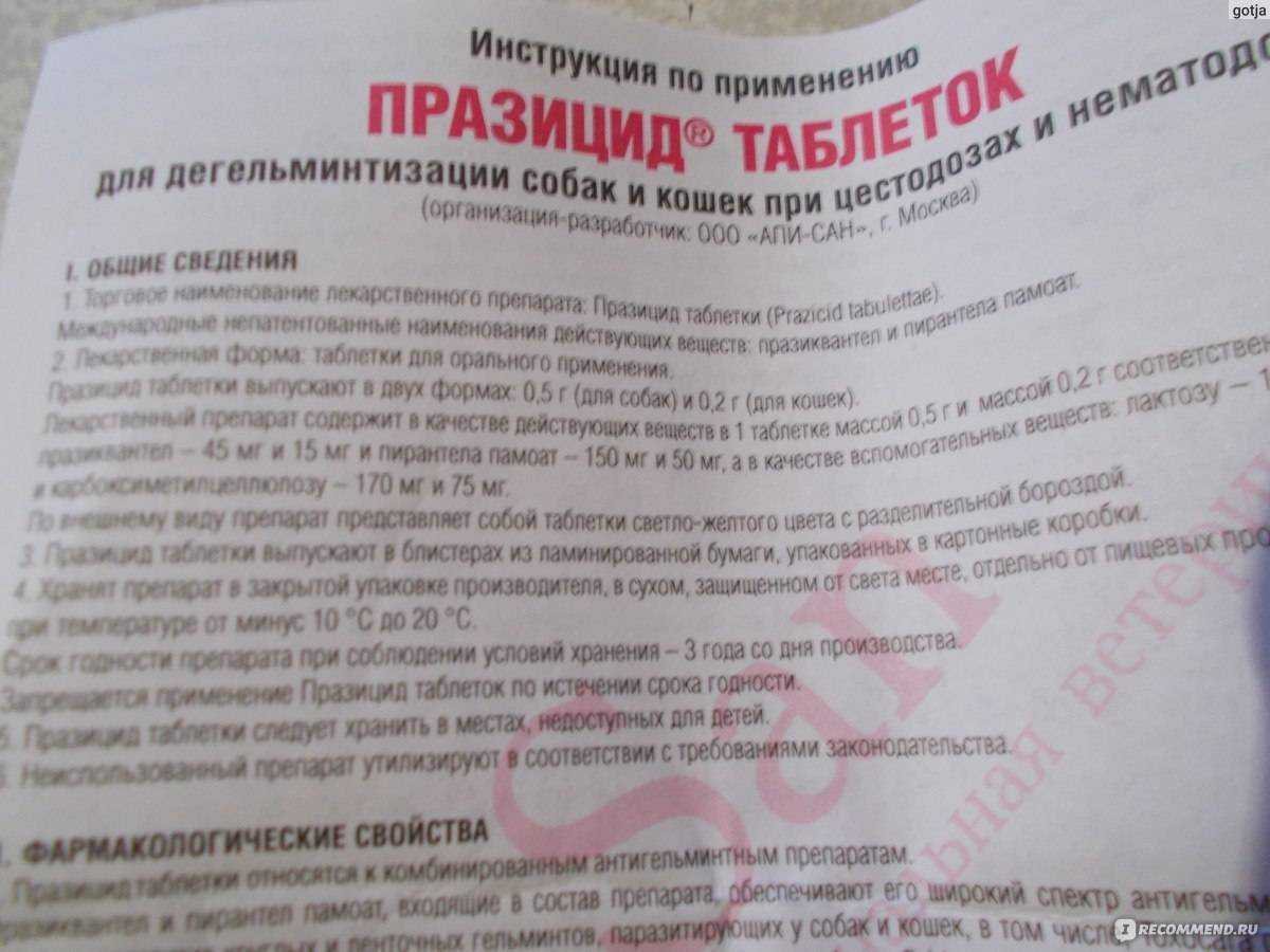 Диронет для кошек (капли спот-он, таблетки, суспензии): инструкция по применению, отзывы