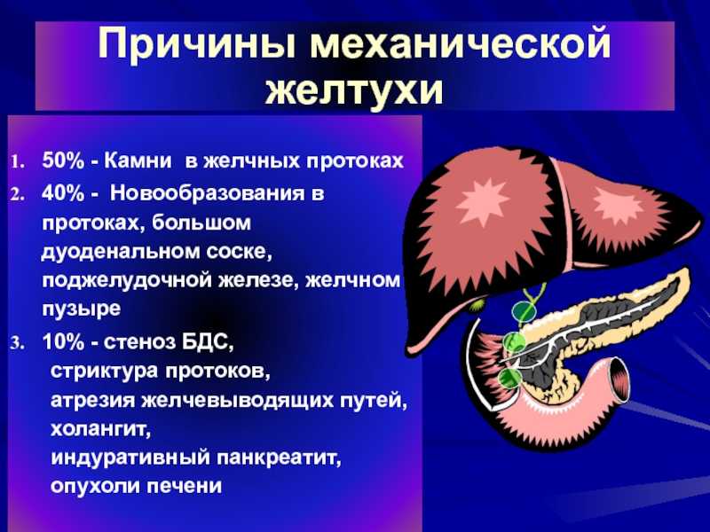 Желтушность дёсен и белков глаз, отказ от еды у собаки