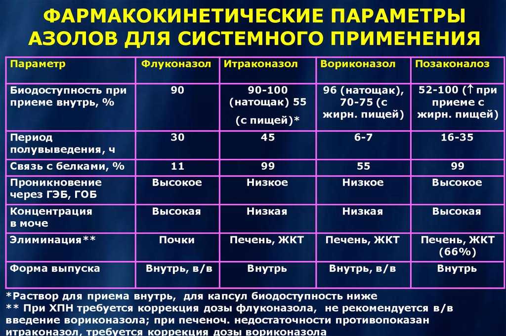 Как узнать, чем отравился кот: первая помощь в домашних условиях