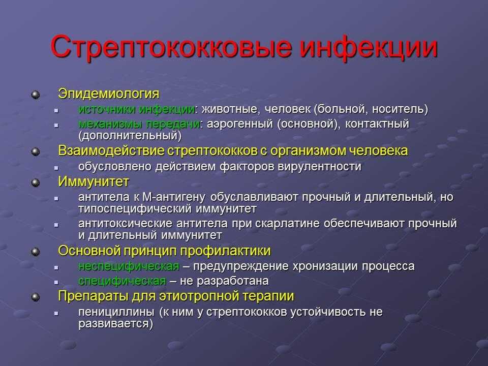 Стрептококк у кошек: проявления и профилактика инфекции_ | wwwcat.ru