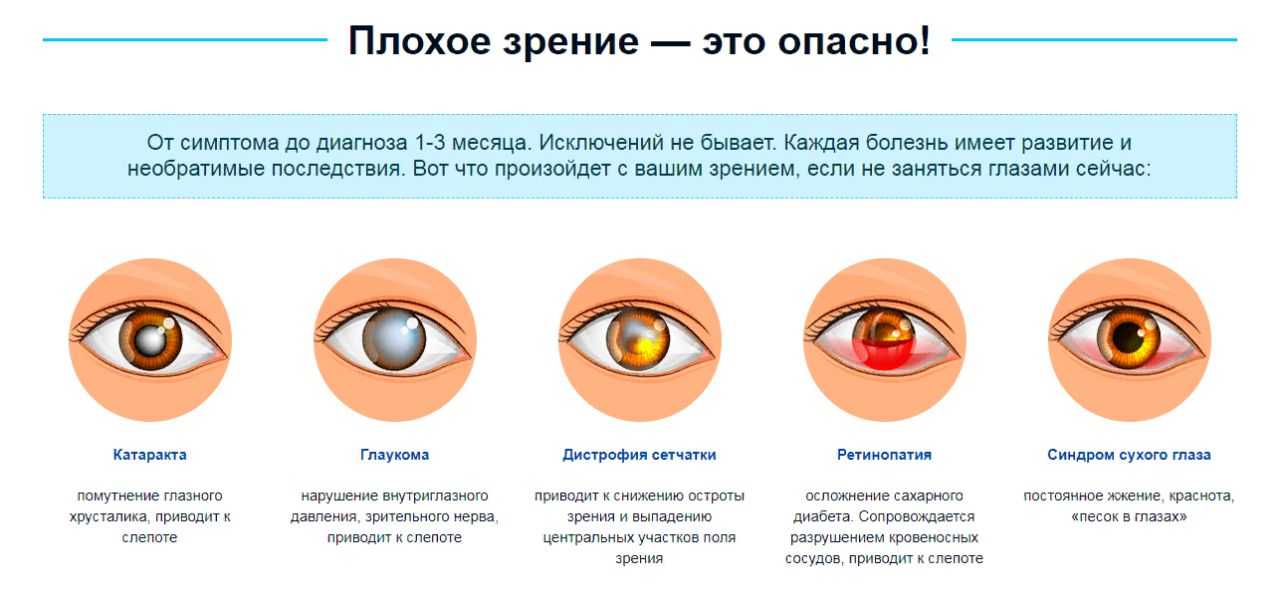 Глаукома у собак: симптомы и лечение, какие капли применять, меры профилактики