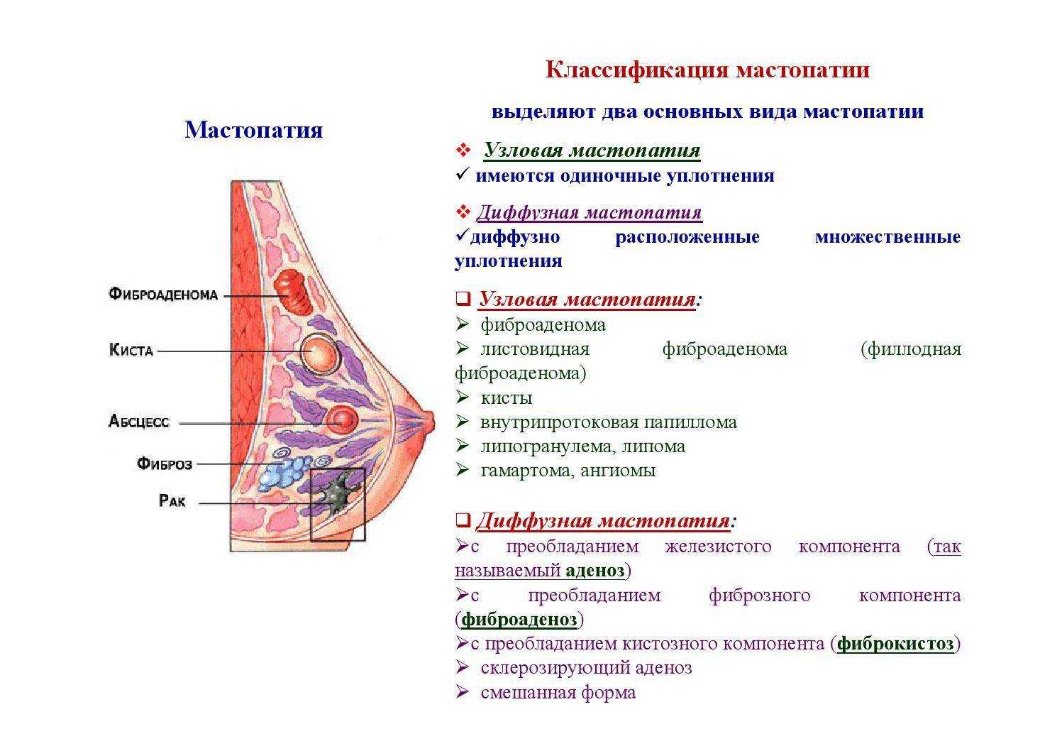 Мастопатия у кошек: лечение в домашних условиях, народные средства, нужна ли операция