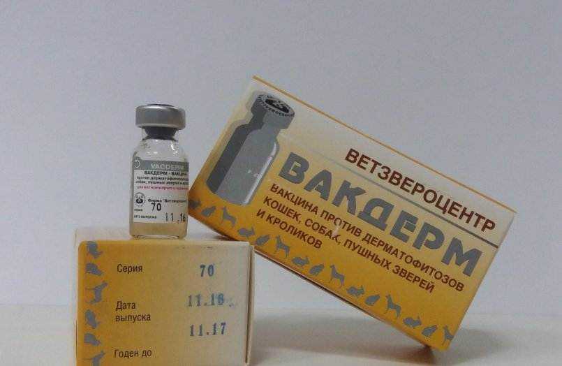 От лишая защитит вакдерм для собак